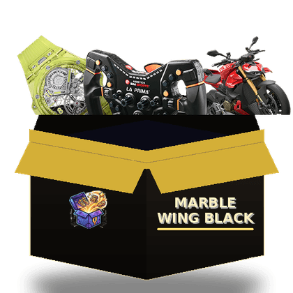 Marble Wing Black mystery box
