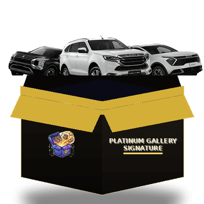 Platinum Gallery Signature mystery box